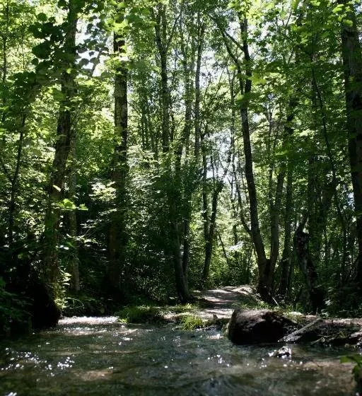 B&b Café De La Poste