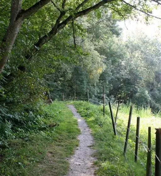 B&b Café De La Poste