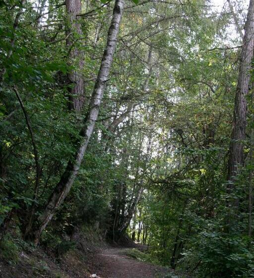 B&b Café De La Poste