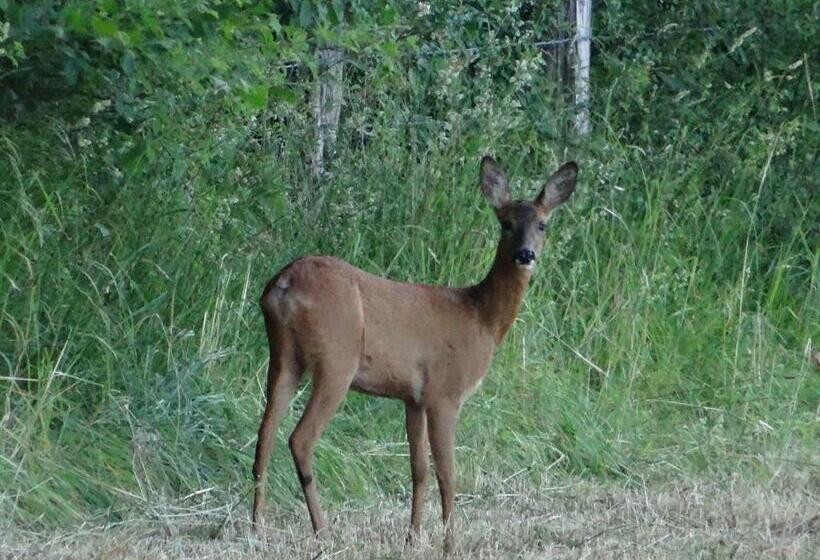 مبيت وإفطار Domaine De Drémont