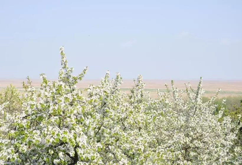 Aamiaismajoitus (B&B) Gloriett Panzió