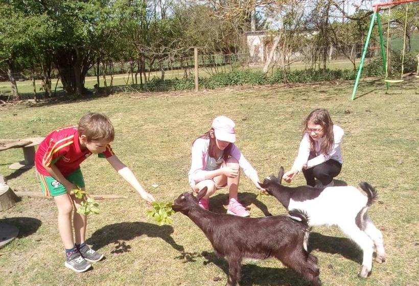 Bed and Breakfast La Maison Jaune