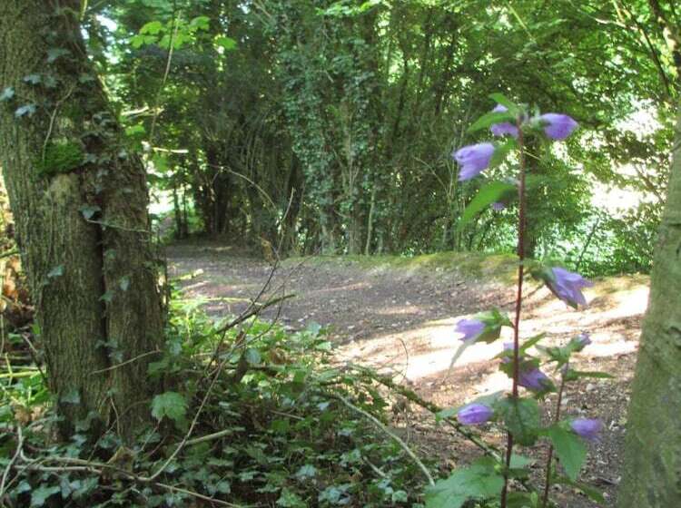 호텔 Abbaye De Belval