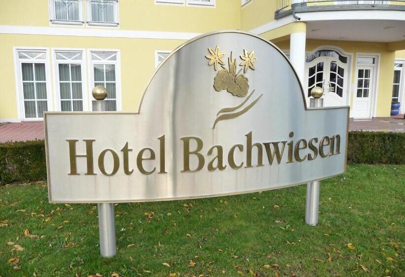 Hotelli Bachwiesen