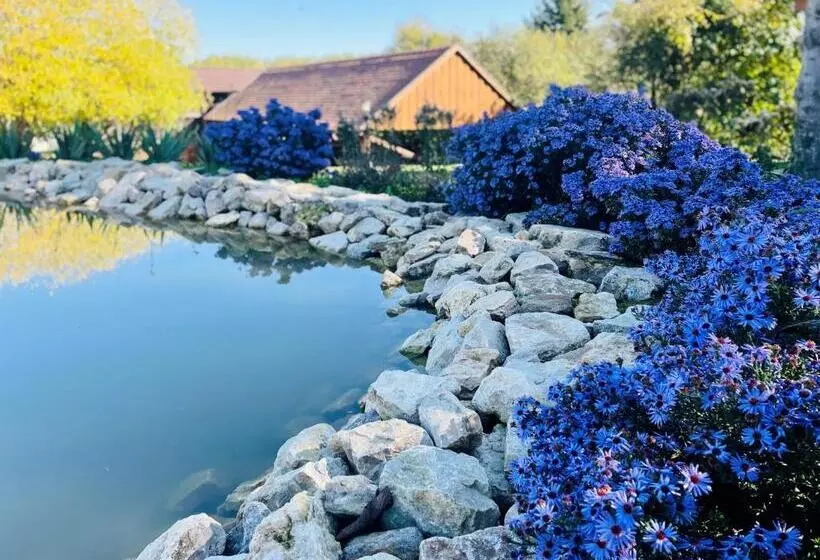 Hotelli Belvárdi Fogadó