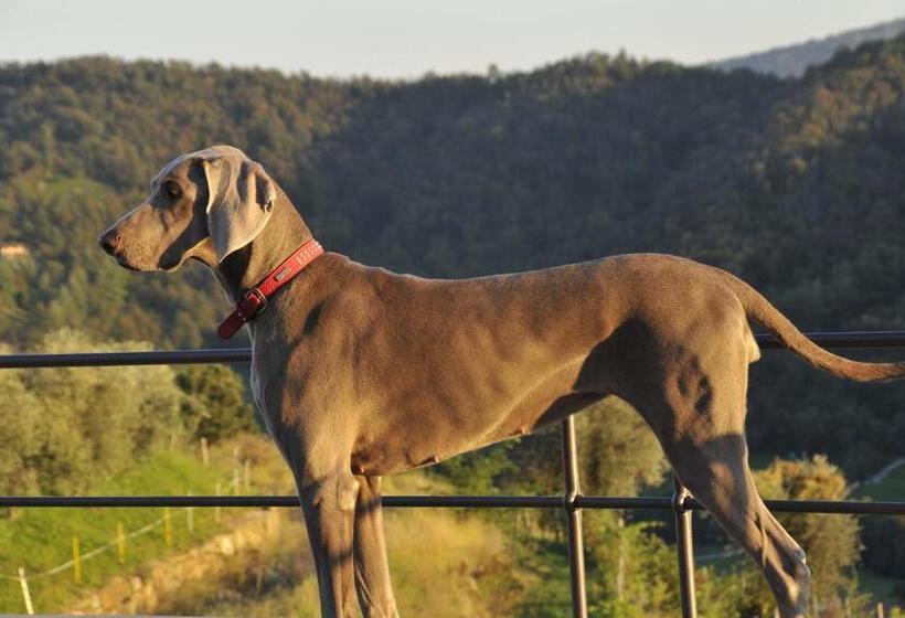 Отель Colletto Agribiorelais