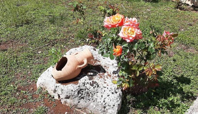 Masseria San Nicola B&b