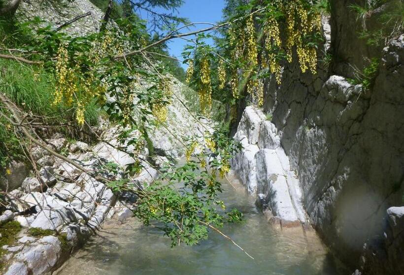 膳宿费 Gîte Belle Valette