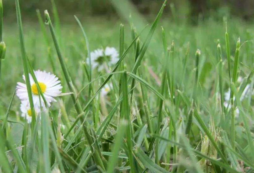 Majatalo Kultúrélet Vendégháza
