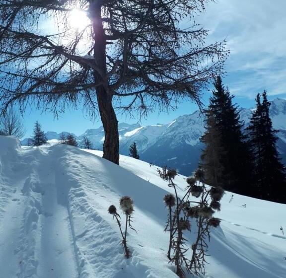 بنسيون Relais Du Paradis Chambres D'hôtes