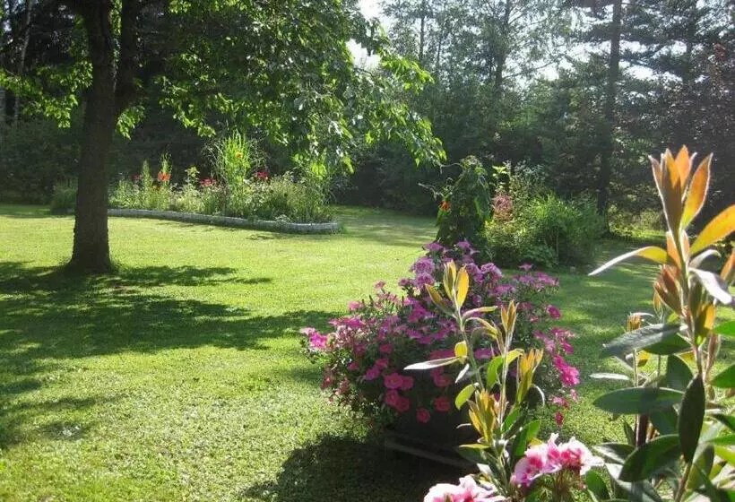 Pension & Fewos Fuchs