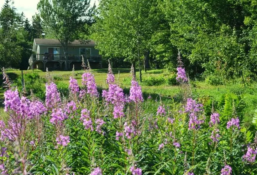 リゾートホテル Sea Parrot Ocean View Manor