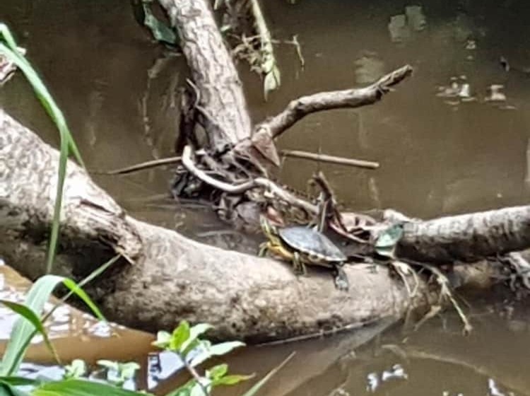 فندق صغير Paraso Inn