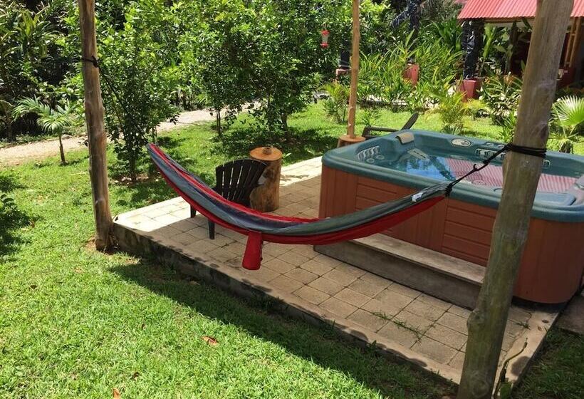 فندق صغير Paraso Inn