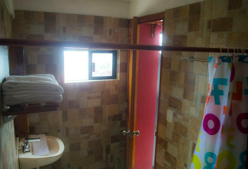 هاستل Posada El Volador