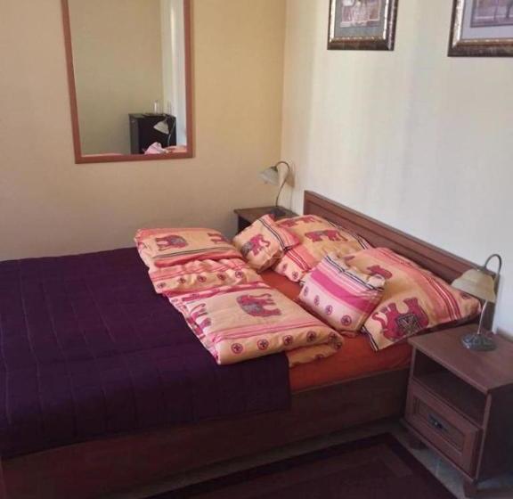 פנסיון Arany Elefánt Szálláshely