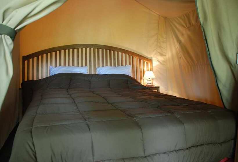 فندق Camping Les Tournesols