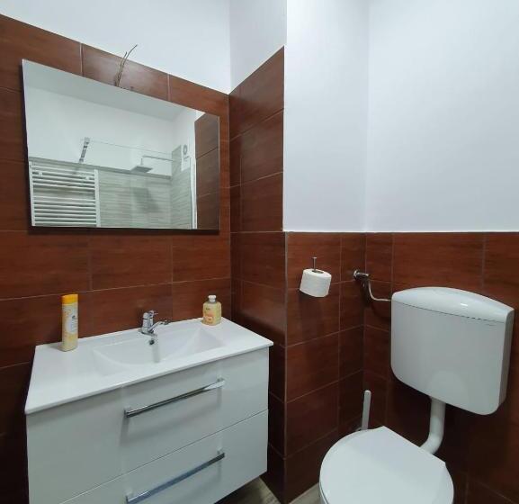 هتل Petroshani Srl