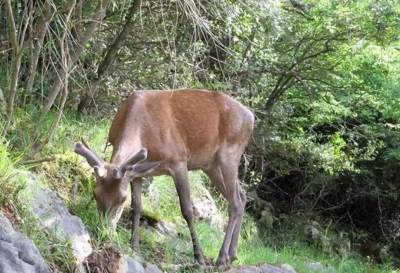 Nirvana Bed And Breakfast Experience