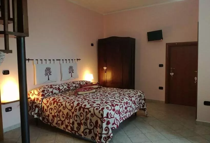 Nirvana Bed And Breakfast Experience