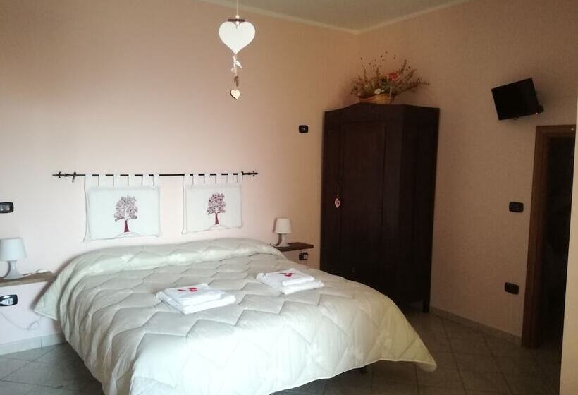 Nirvana Bed And Breakfast Experience