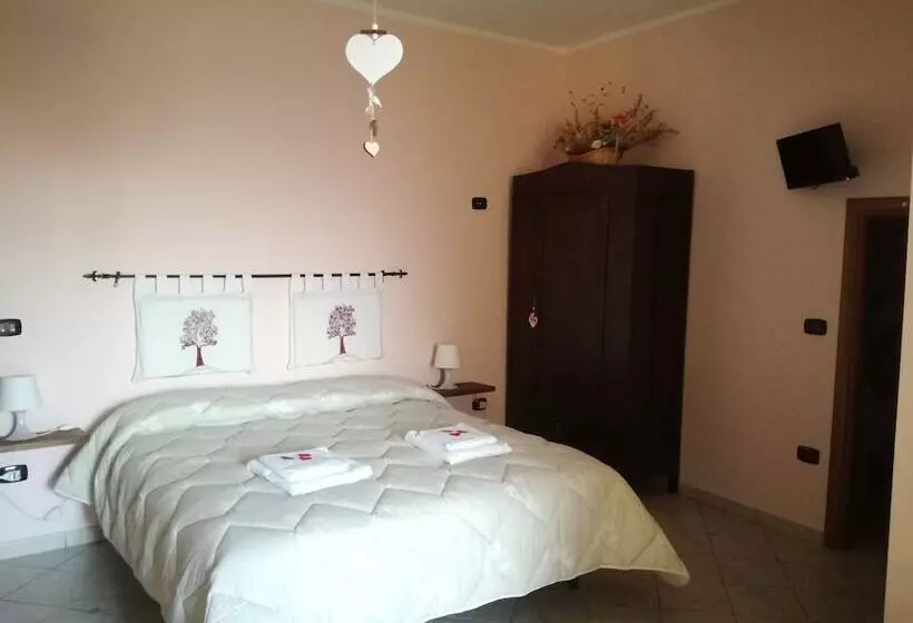 Nirvana Bed And Breakfast Experience