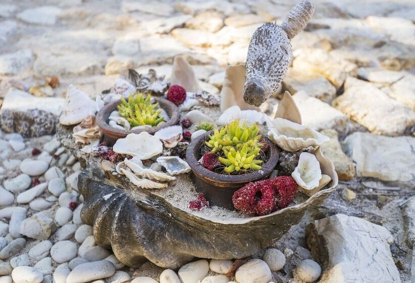 مبيت وإفطار Manduna Resort