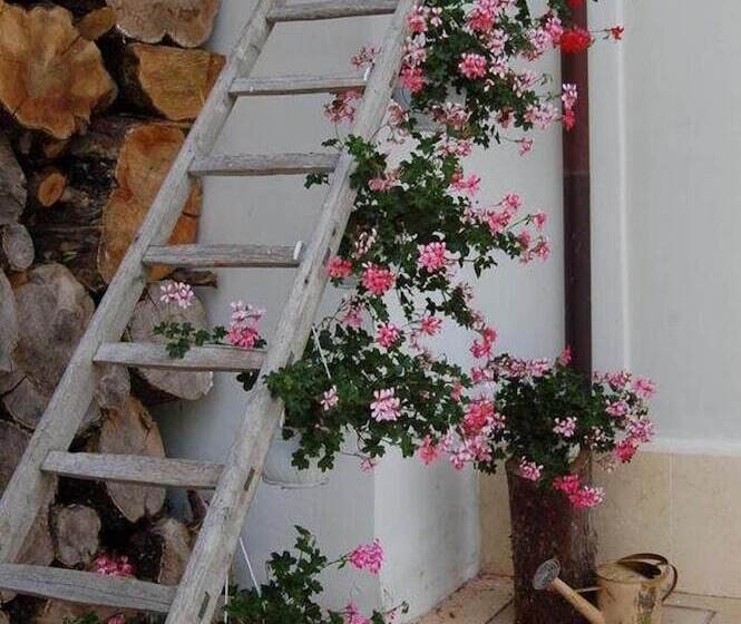 Bed and Breakfast Villa Cappelletti