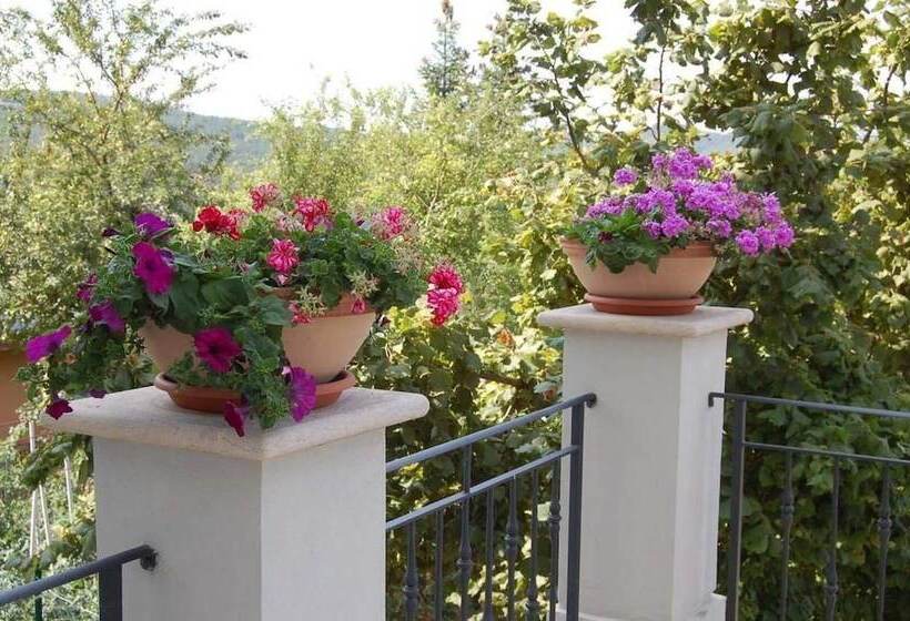 Bed and Breakfast Villa Cappelletti