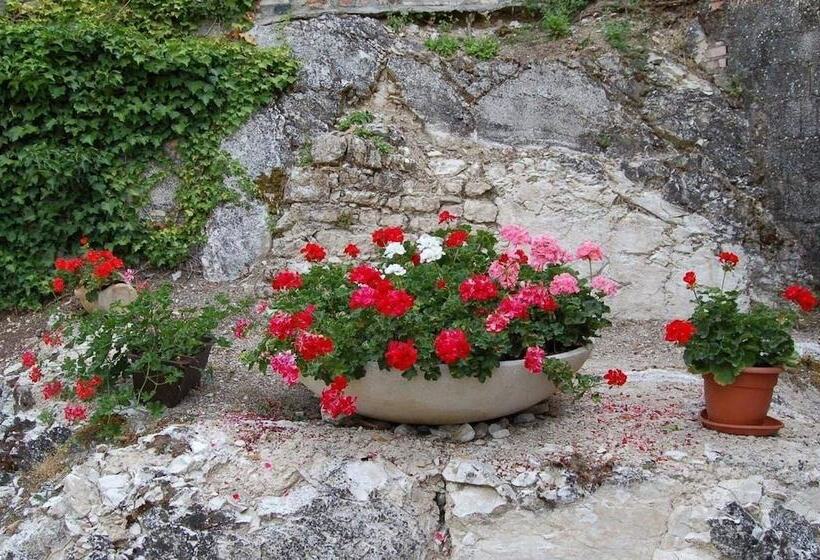 Bed and Breakfast Villa Cappelletti