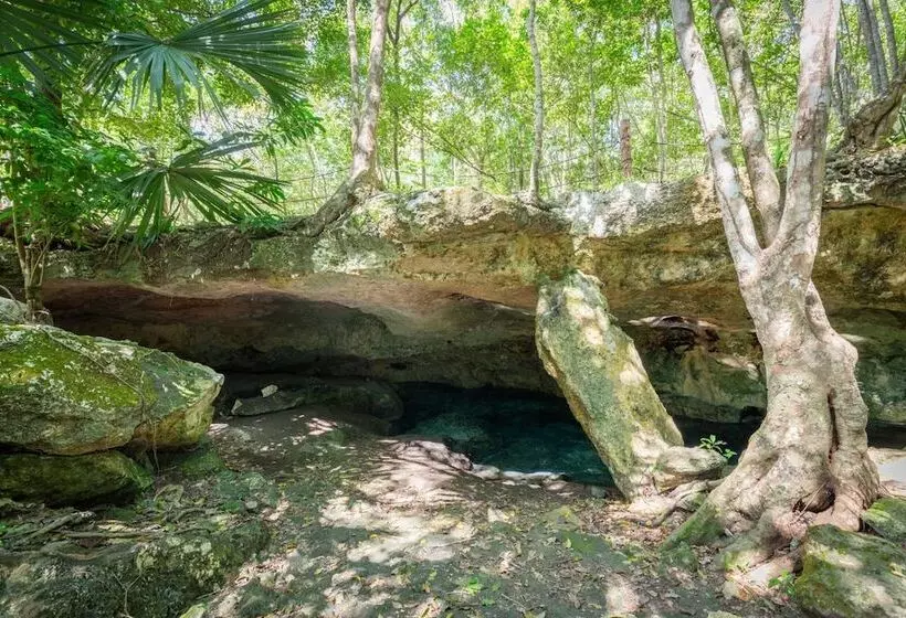 Hotelli Casa Alebrije 2 Br At Attha Cenote