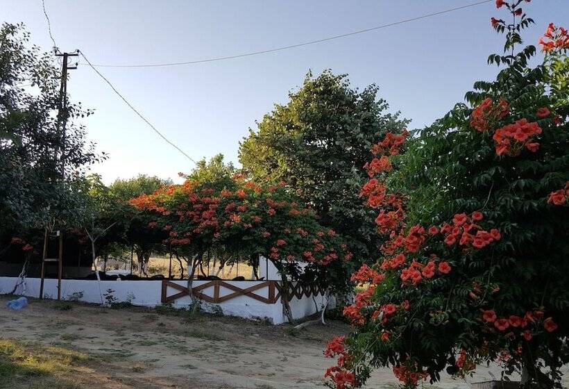 בית מלון כפרי Dama Kamp Alani