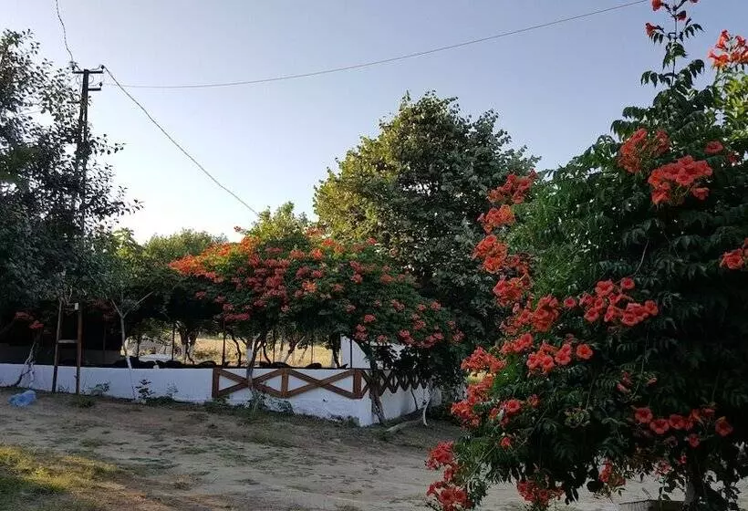 ホテル Dama Kamp Alani