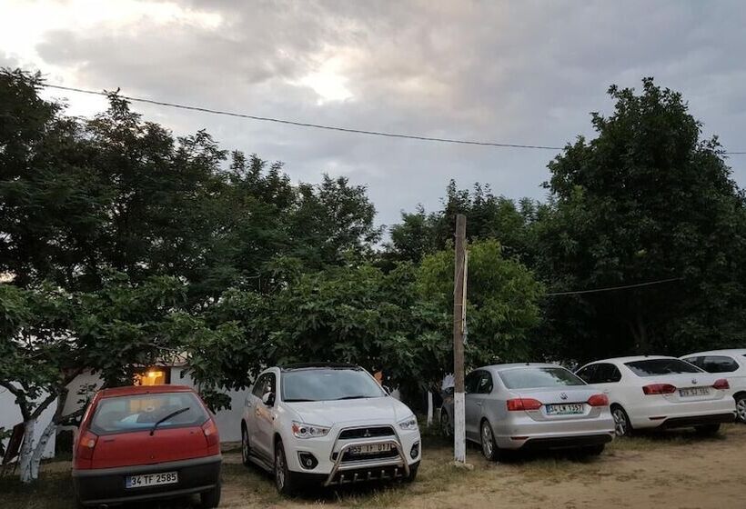 בית מלון כפרי Dama Kamp Alani