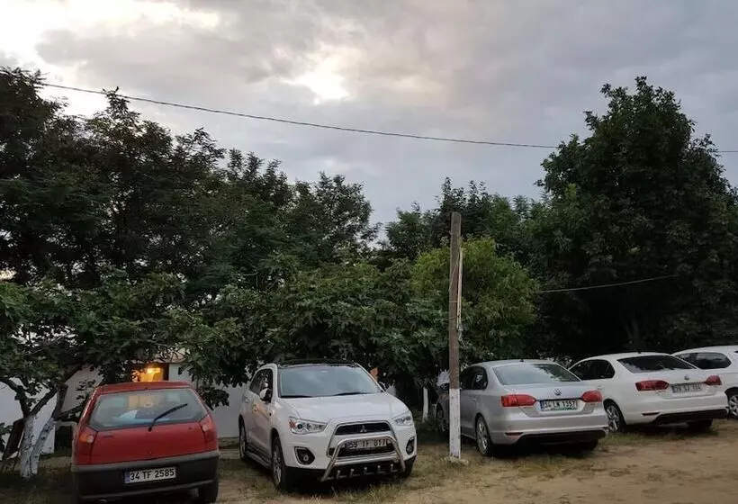 ホテル Dama Kamp Alani