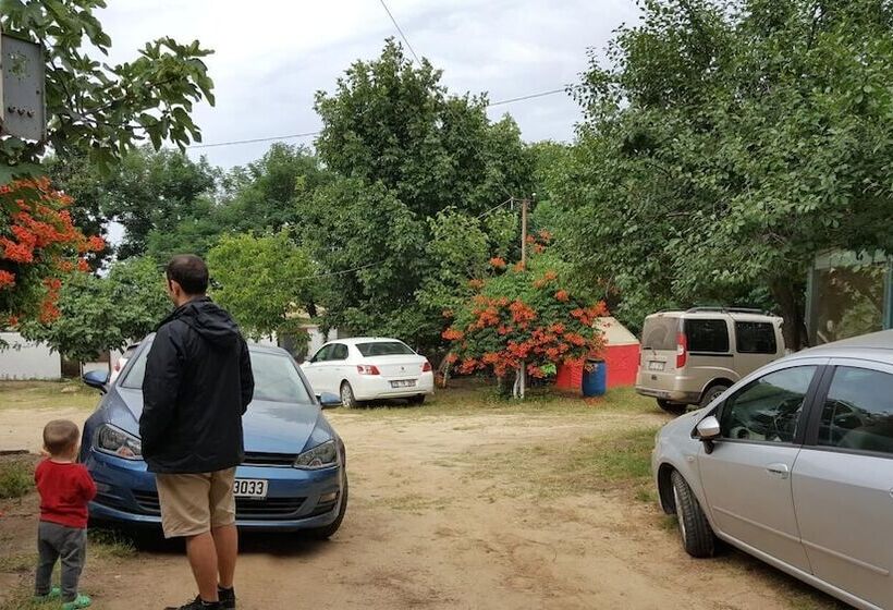 בית מלון כפרי Dama Kamp Alani