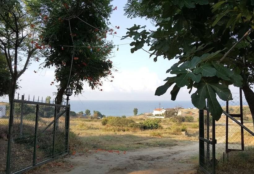 בית מלון כפרי Dama Kamp Alani