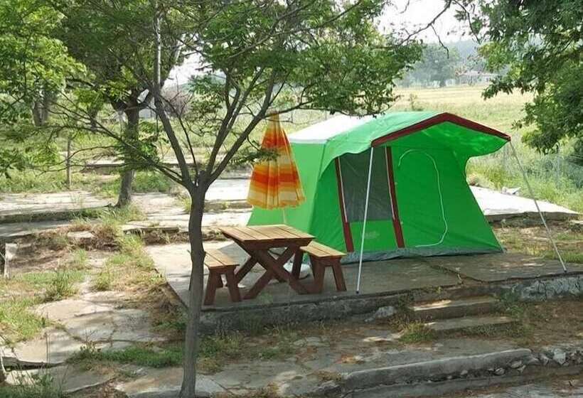 בית מלון כפרי Dama Kamp Alani