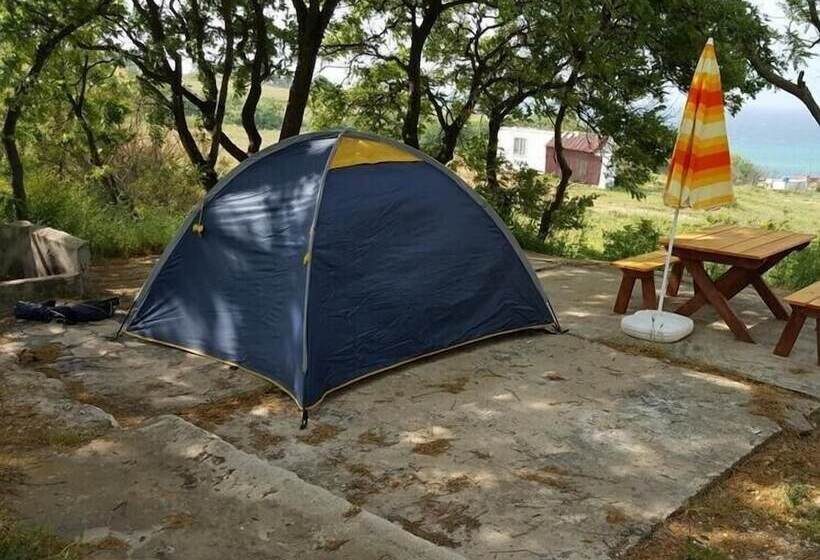 בית מלון כפרי Dama Kamp Alani