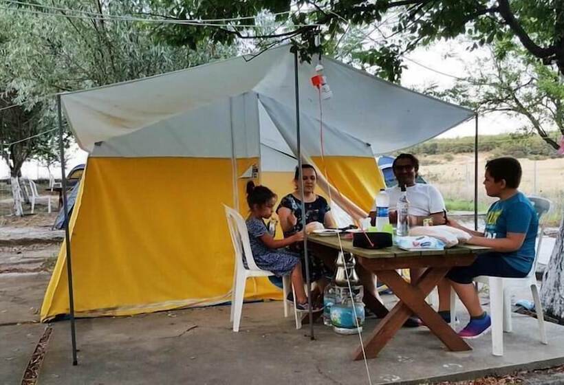 בית מלון כפרי Dama Kamp Alani