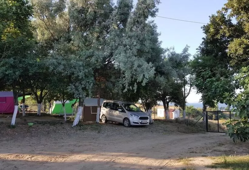 ホテル Dama Kamp Alani