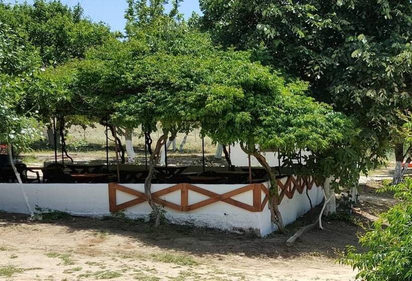 בית מלון כפרי Dama Kamp Alani