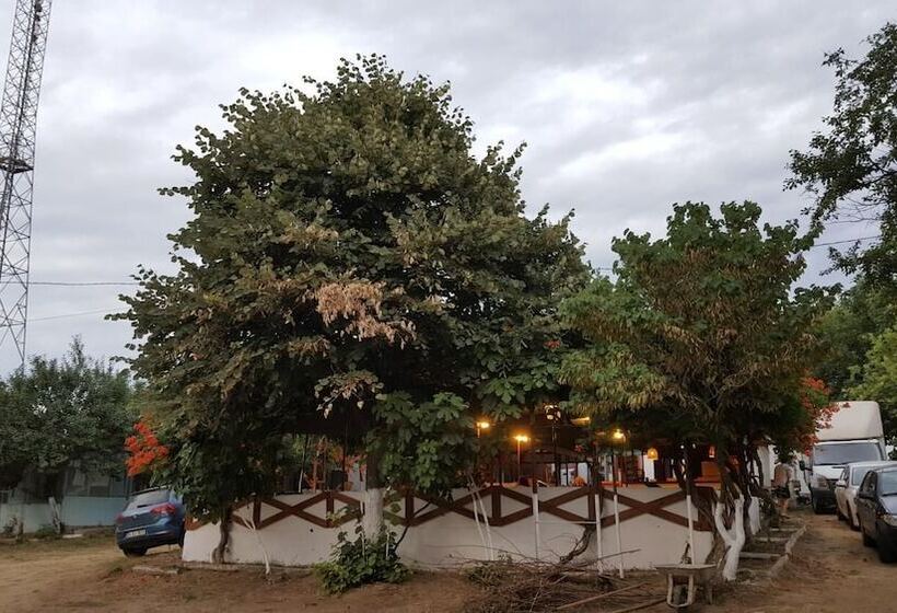 בית מלון כפרי Dama Kamp Alani