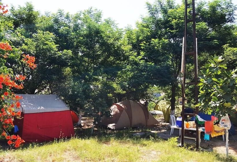 בית מלון כפרי Dama Kamp Alani