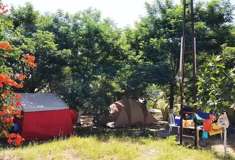 ホテル Dama Kamp Alani