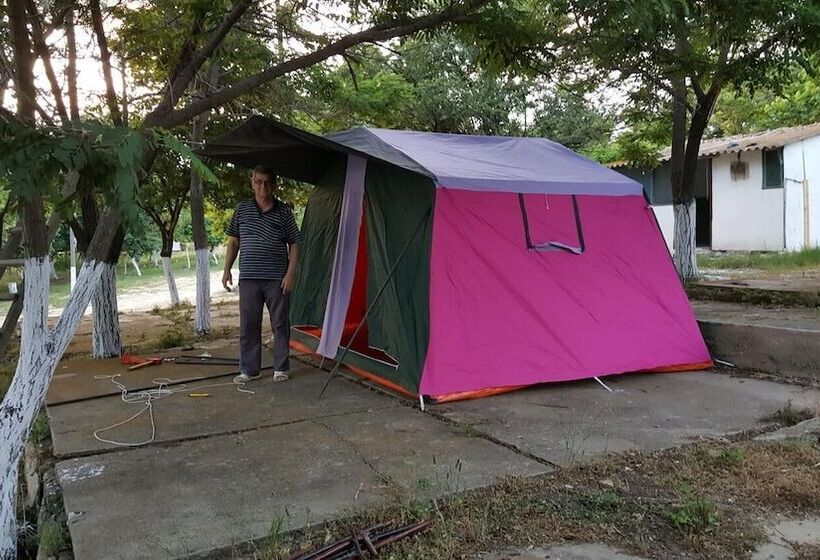 בית מלון כפרי Dama Kamp Alani