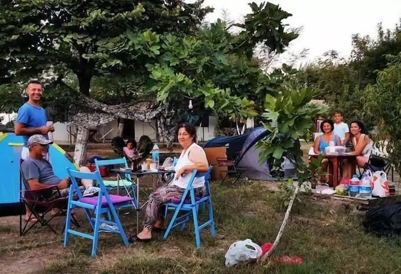 ホテル Dama Kamp Alani