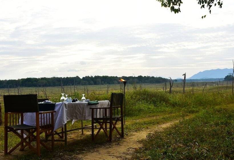 Hotel Explorer By Eco Team  Gal Oya National Park
