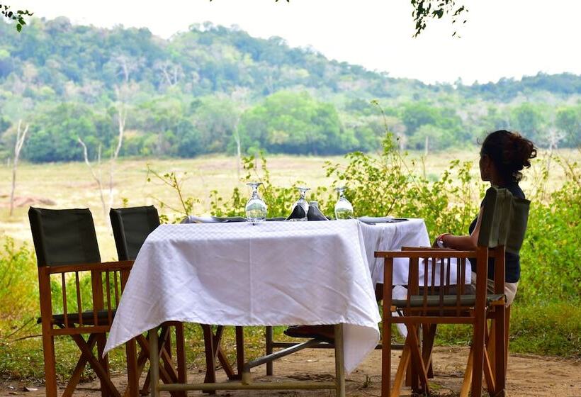 Hotel Explorer By Eco Team  Gal Oya National Park