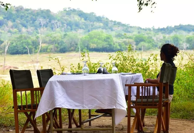 Hotelli Explorer By Eco Team  Gal Oya National Park